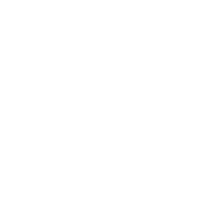 Reinigung des Dieselpartikelfilter